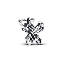 Charm Pandora Donna in Argento 793911C00